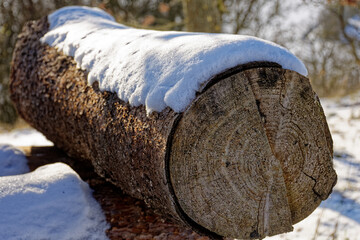 Firewood Covered with Snow in Bavaria