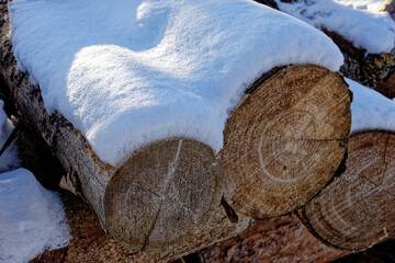 Firewood Covered with Snow in Bavaria