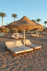 Vertical shot of traditional thatched umbrellas and white sun loungers on a resort sandy beach during golden hour. High resolution.
