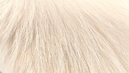 fluffy texture. fluffy white. fluffy background. fluffy fabric