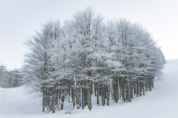 Paesaggi con la neve in appennino a fine dicembre