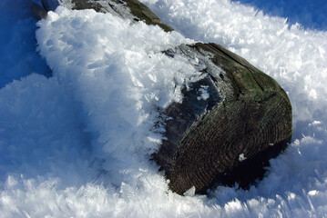 Ice Crystals Forming on Weathered Wood During Winter