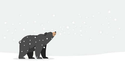 Black Bear Gazing Upward In A Gentle Winter Snowfall Background Scene
