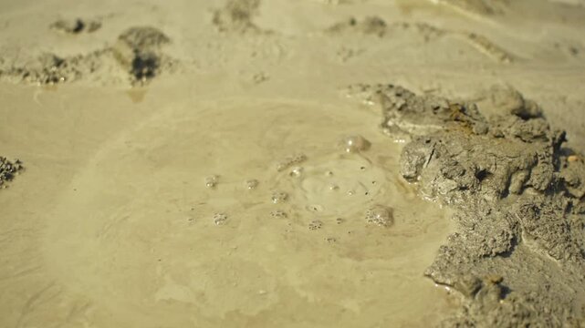 Hypnotic Close-Up Pan of Bubbling Mud at Berca Mud Volcanoes