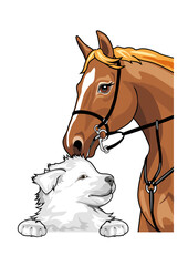 White Swiss Shepherd puppy and red horse are best friends