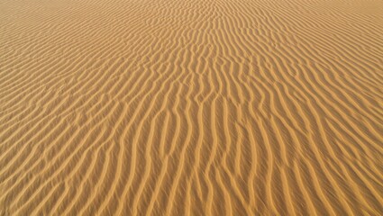 Fototapeta premium Desert Sand Ripples