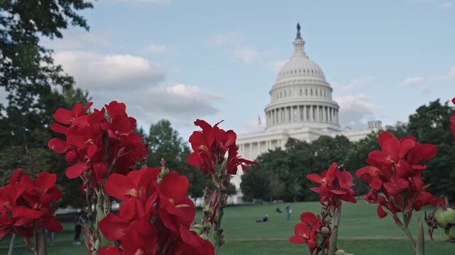 Historic Capitol by the national flag. Capitol dome as symbol of law. Washington monument architecture. Washington DC. US Senate. Federal government in the nation capital. USA symbol. Zoom in