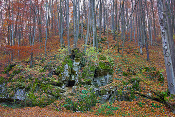 Autumn landscape a rock in an autumnal forest
