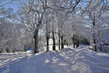 beautiful winter landscape in the Czech Republic