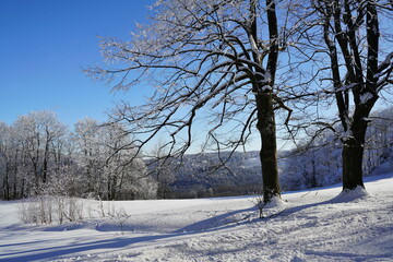 beautiful winter landscape in the Czech Republic