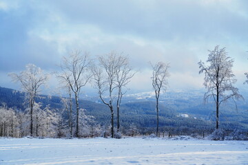 beautiful winter landscape in the Czech Republic