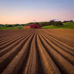 Rural Farm Landscape at Sunset