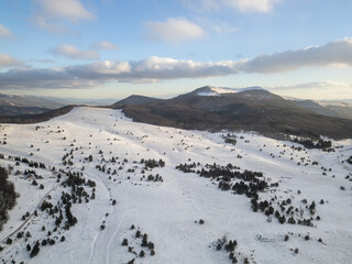 Winter landscape in Bulgaria, Balkan Mountains, with snow-covered hills and scattered pine trees under a blue sky. Peaceful rural scenery, natural wilderness, cold season, wide panoramic view