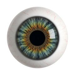 Human Eye with Colorful Iris and Red Veins