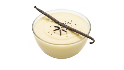 Smooth vanilla custard in a glass bowl, garnished with whole vanilla bean and seeds on top, classic creamy dessert base perfect for serving alone or pairing with fruits, cakes and pies

