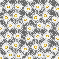 seamless pattern with camomiles