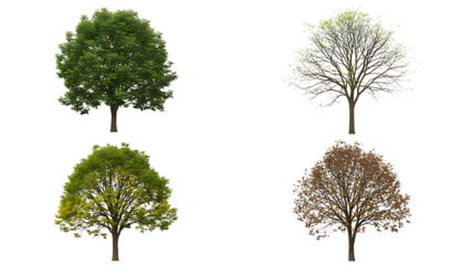 Four season trees isolated on transparent background