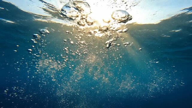 Sunlit Underwater Scene With Bubbles Rising.