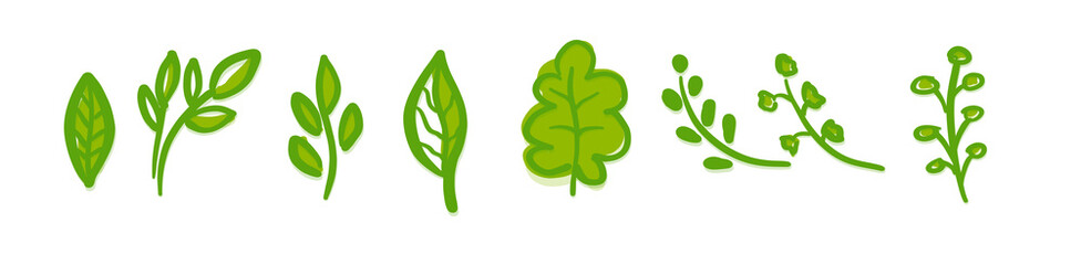 Green hand drawn leaf and branch doodle collection isolated on transparent background for design