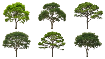 Six diverse trees isolated on transparent background