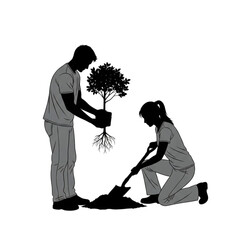 People Planting Tree Together Outdoors Isolated On Transparent Background.