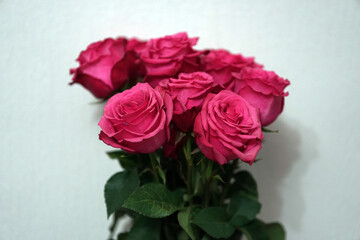 bouquet of pink roses