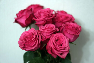 bouquet of pink roses