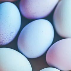 Minimal Eco Easter Eggs In Pastel Shades