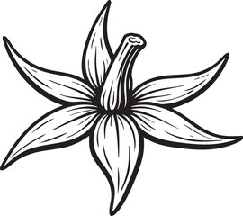 Tomato flower linocut etching bold black and white botanical illustration for packaging label and vintage design