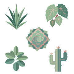 Houseplants set with succulent, cactus, aloe vera, begonia tropical leaves. Minimalist flat vector design icons for home garden, interior decoration, botanical branding projects. Houseplants icons