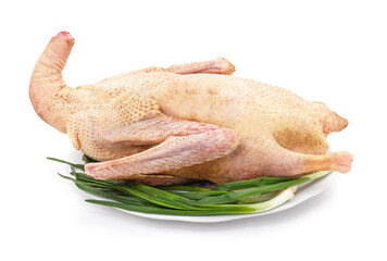 Raw goose carcass with green onions on plate.