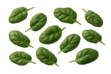 Fresh spinach leaves scattering, organic green vegetable for healthy eating, cooking, and nutrition on transparent background