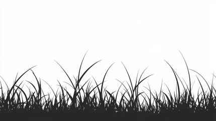 Grass field border with silhouettes of various grass types on a plain white background displayed horizontally for creative designs and illustrations