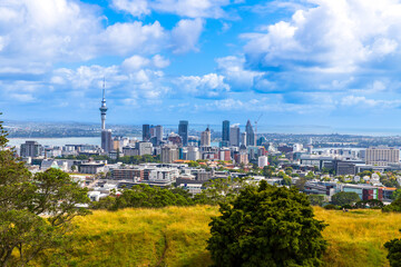 Auckland City Skyline Viewed from Mount Eden on a Sunny Day