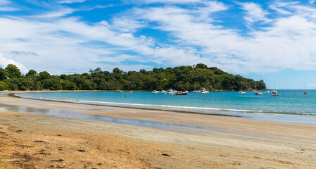 Oneroa Beach, Waiheke Island, Auckland, New Zealand