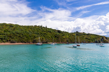 Waiheke Island Coastline, Auckland, New Zealand