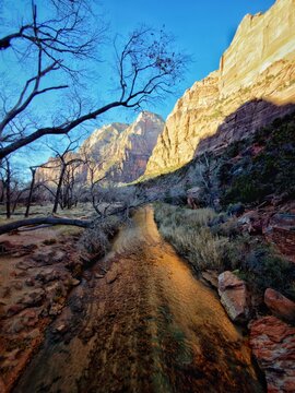 Zion National Park Virgin River