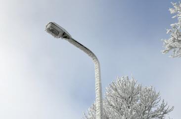 Mit Reif &uuml;berzogene Stra&szlig;enlaterne