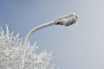 Mit Reif &uuml;berzogene Stra&szlig;enlaterne