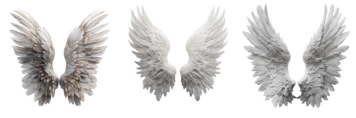 Fototapeta premium Set Of White Angel Wings With Realistic Feather Texture Isolated on Transparent Background