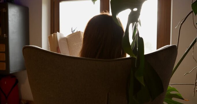 This is an aesthetic composition taken from behind, showing a woman reading in front of a large window. The daylight illuminates both her hair and the book.