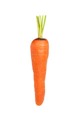 Fresh Carrot for Nutrition and Healthy Eating on Transparent Background Png