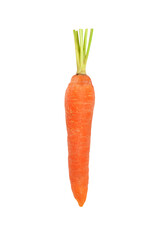 Fresh Carrot for Nutrition and Healthy Eating on Transparent Background Png