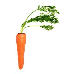 Raw Organic Carrot with Leaves for Nutrition on Transparent Background Png