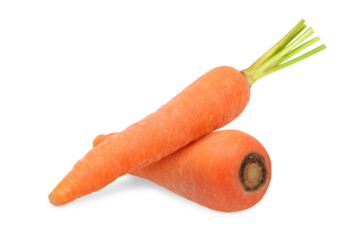 Fresh Orange Carrots with Stem for Nutrition and Farm Produce Concept on Transparent Background Png