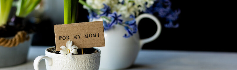 Banner. Little boy making a handmade present for his mother - planting a bulb of hyacinth in a white cup, making a postcard saying for my mom. Family values. Recreation, hobby, leisure concept