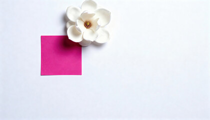White magnolia flower with pink sticky note on white background, minimal composition with copy-space