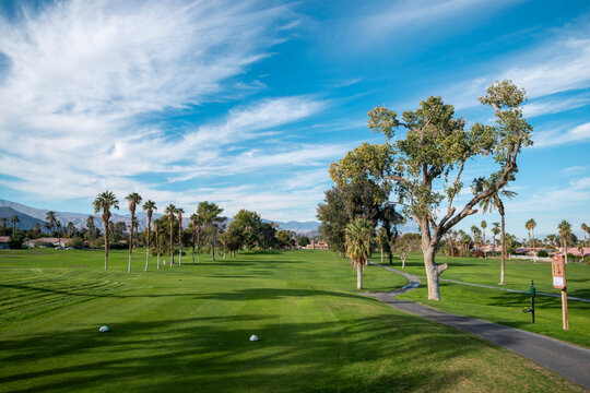 Desert Golf Course in Indio California