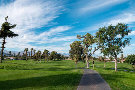 Desert Golf Course in Indio California