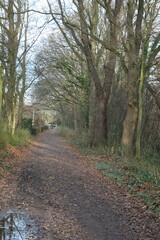 Fototapeta premium Hamburg Natur